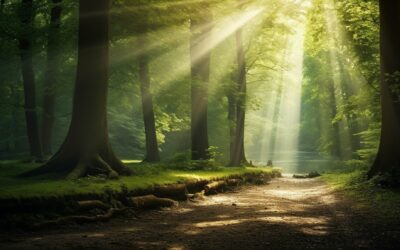 Unlock the Benefits of Meditation: A Path to Calmer Living