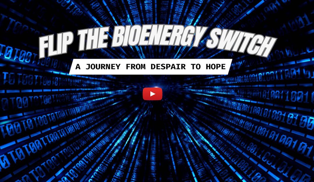 Flip the BioEnergy Switch: A Journey from Despair to Hope