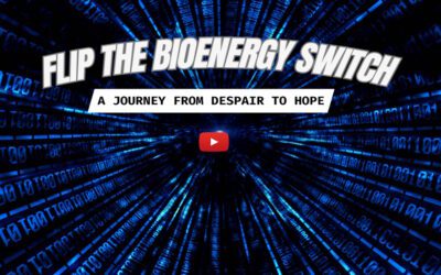 Flip the BioEnergy Switch: A Journey from Despair to Hope