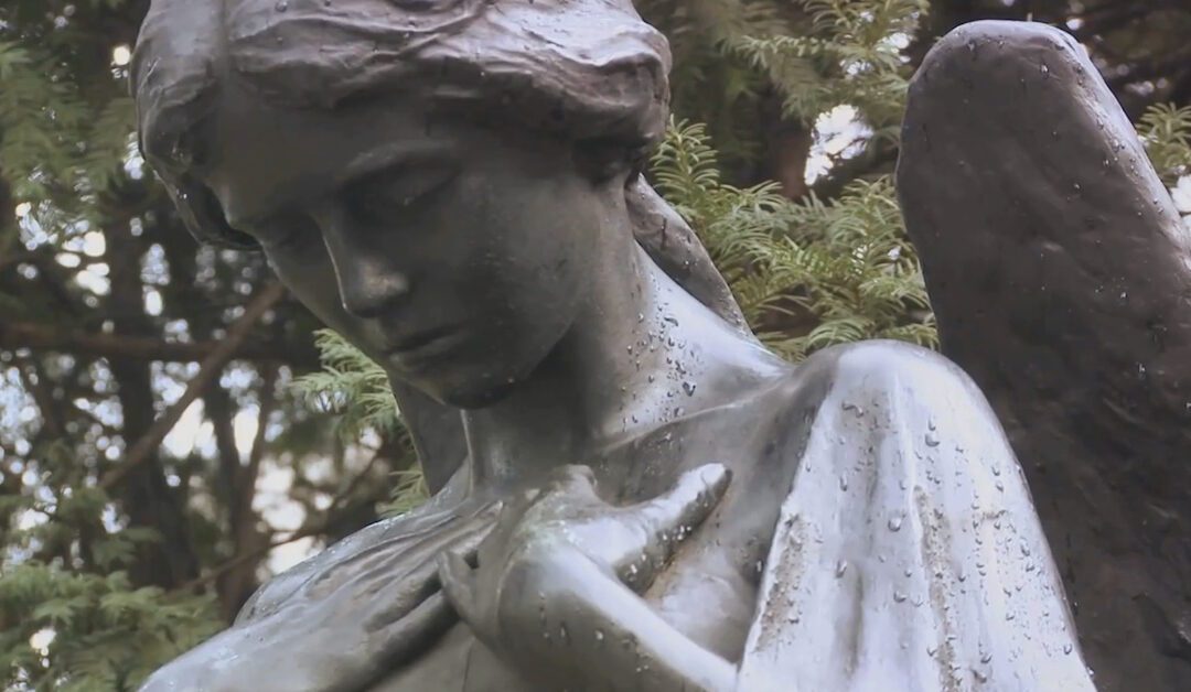 A Journey to Spiritual Enlightenment: Embrace Your Guardian Angel