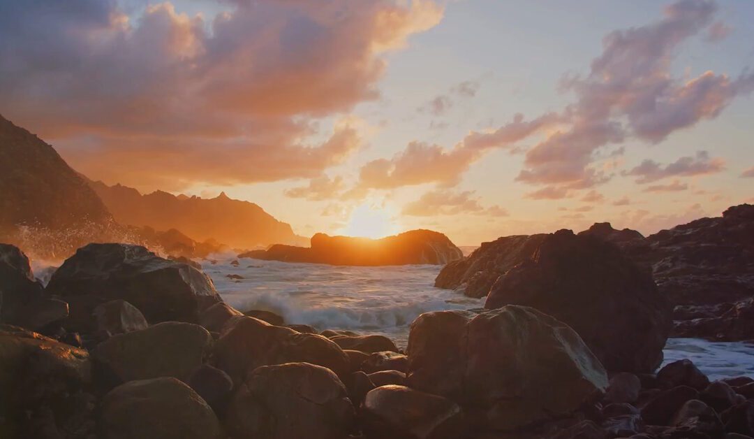 Embrace Ho’oponopono: The Key to Achieving a Life of Zero Limits