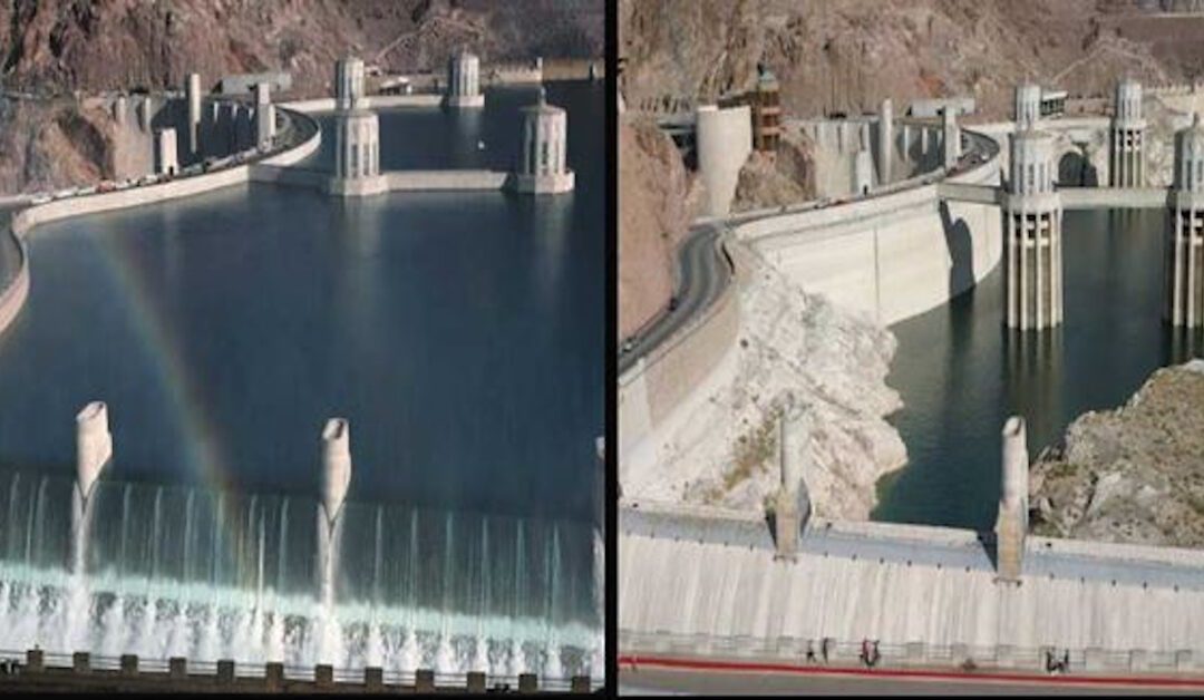 The Looming Food Crisis: Preparing for a System on the Brink