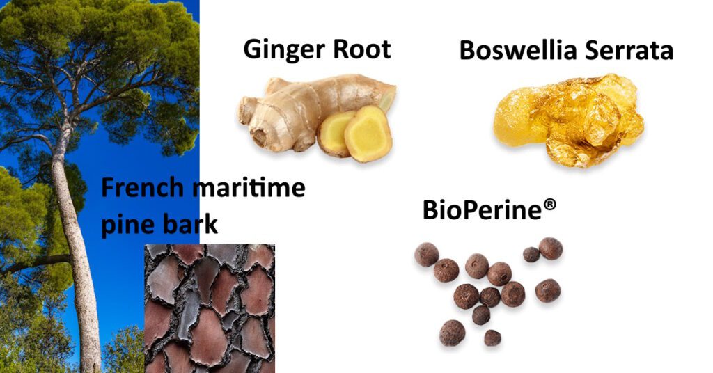 Unique Ingredients of Joint Genesis